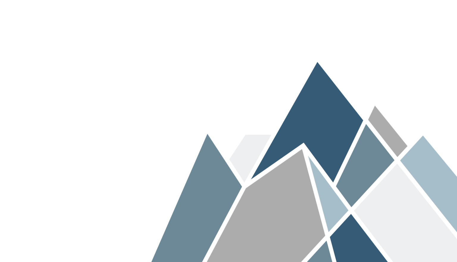 About – Pinnacle Plan Writing