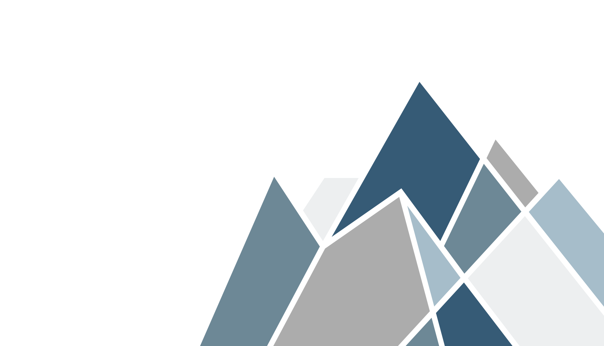 About – Pinnacle Plan Writing